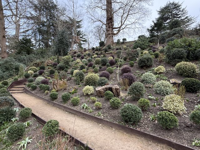 garden_2