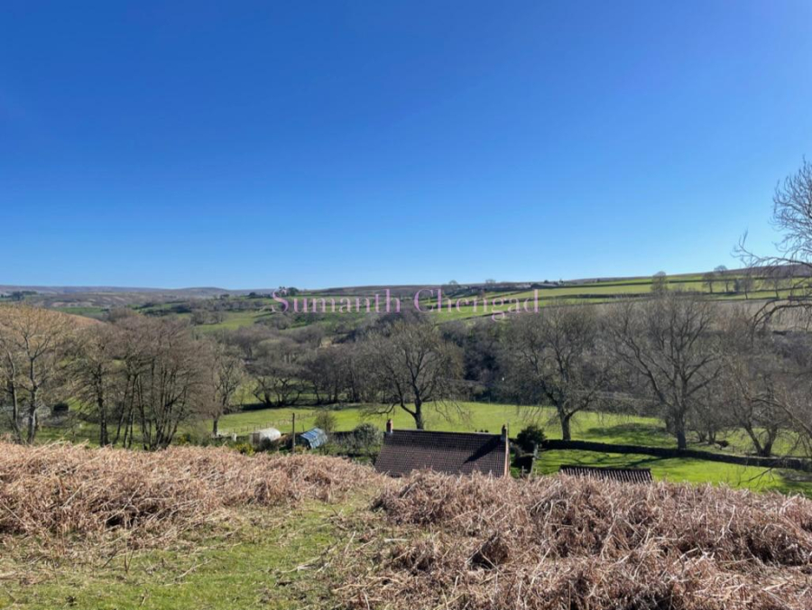 North York Moors