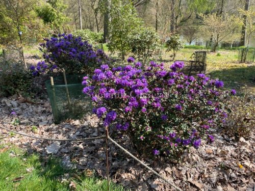 Yorkshire Arboretum