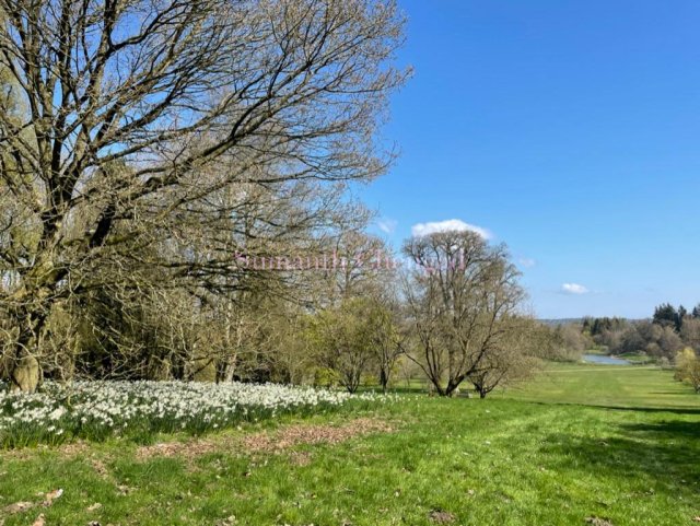 Yorkshire Arboretum