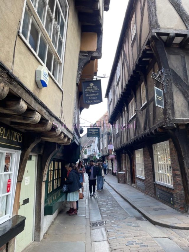 The Shambles