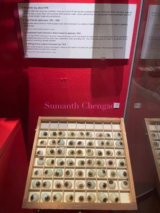 Artificial glass eyes!